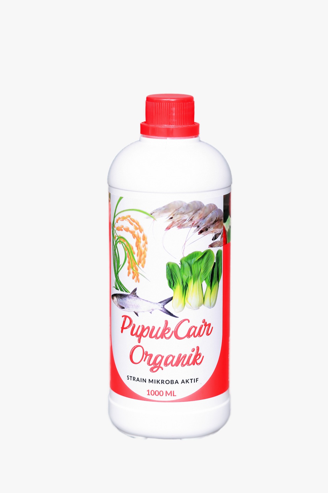 WhatsApp Image 2024-12-19 at 13.21.22 (1)